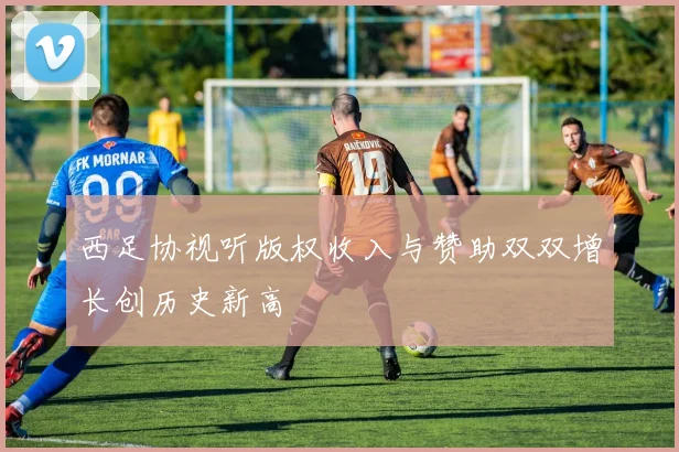 西足协视听版权收入与赞助双双增长创历史新高